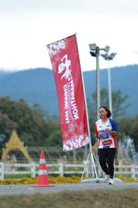 BIB: 
                            <button type="button" onclick="openModal(27854755)" class="btn btn-primary btn-sm float-right btn-popup" data-toggle="modal" data-target=".modal-high-quality">
                        <i class="fas fa-shopping-cart"></i> Add to Cart
                    </button>
                                            <button type="button" onclick="isThisMe(27854755, true)" class="btn btn-success btn-sm float-right btn-popup btn-isme hidden" data-toggle="tooltip" data-placement="bottom" title="นี่คือรูปของคุณใช่ไหม คลิกที่นี่เพื่อเอาเข้าอัลบั้ม">
                        <i class="fas fa-plus"></i> Add to album
                    </button>
                    <button type="button" onclick="isThisMe(27854755, false)" class="btn btn-warning btn-sm float-right btn-popup btn-isnotme hidden">
                        <i class="fas fa-ban"></i> Remove from album
                    </button>